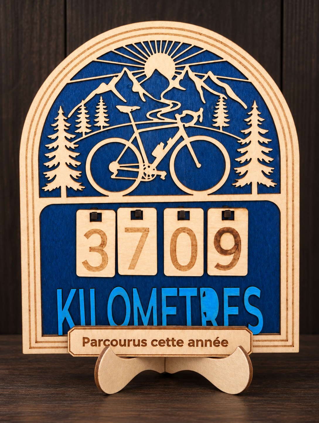 Cycling-distance challenge counter — AL 4
