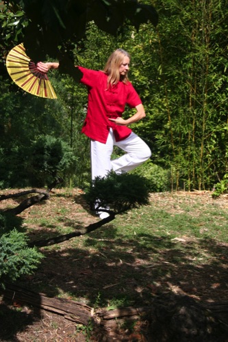 Tai Chi & weapons gallery — image 4