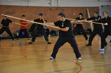 Tai Chi & weapons gallery — image 18